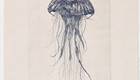 CRD Totem Jellyfish - Kobberstik.jpg